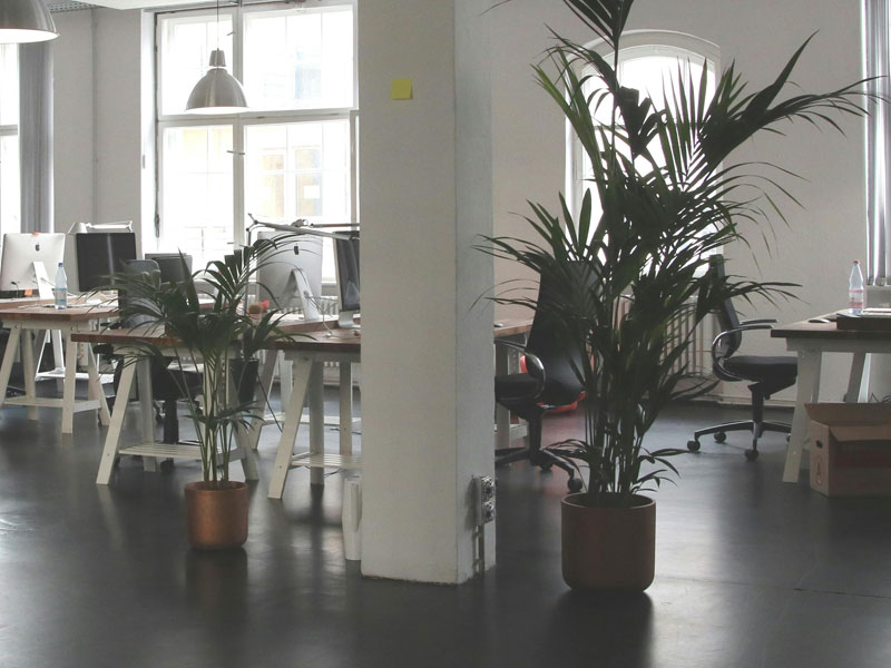 Work-Space - Your Office, Your Way